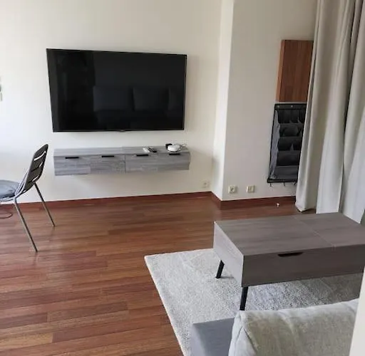 Appartement Floor Parisian With Terrace Paris