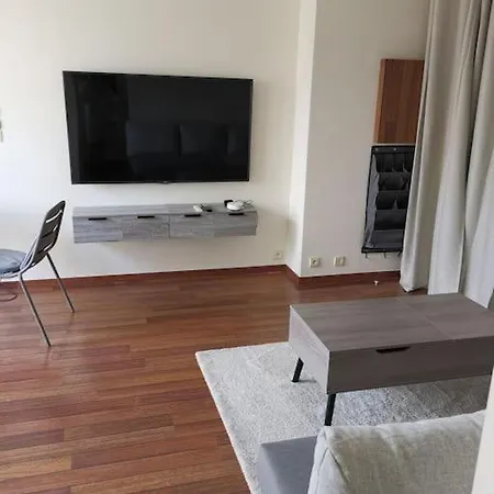 Appartement Floor Parisian With Terrace Parijs